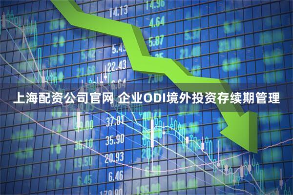 上海配资公司官网 企业ODI境外投资存续期管理