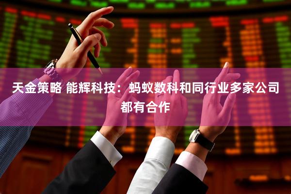 天金策略 能辉科技：蚂蚁数科和同行业多家公司都有合作